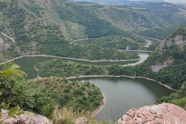 Depuis Zlatibor/Užice : Canyon d'Uvac - Visite privée