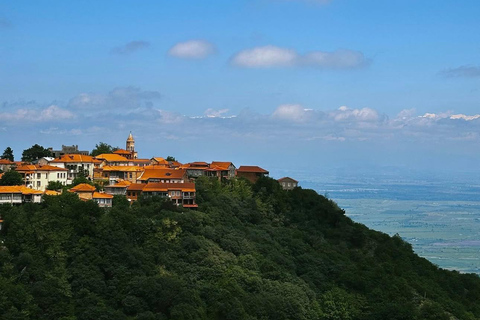 From Tbilisi: Kakheti Wine Region Tour with 9 Wine Tastings