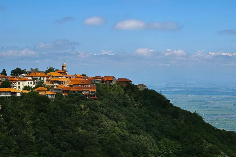 From Tbilisi: Kakheti Wine Region Tour with 9 Wine Tastings