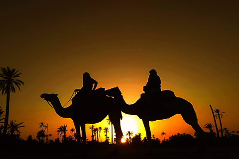 Paseo en camello por la Palmerie de MarrakechExcursión a camello en Marrakech