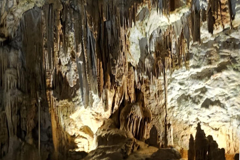 Ljubljana à la grotte de Postojna, au château de Predjama et au parc de Postojna