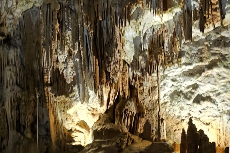 De Liubliana a la Cueva de Postojna, el Castillo de Predjama y el parque de Postojna