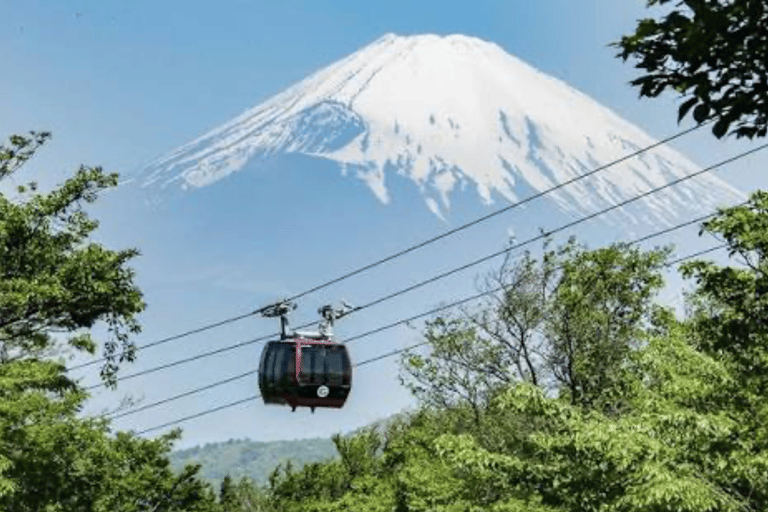 From Tokyo : Mount Fuji Private Tour With English Guide
