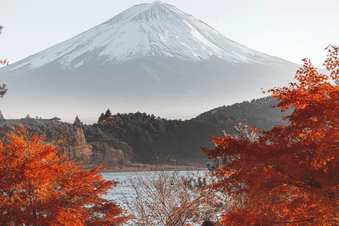 Mount Fuji Full Day Private Customizable Tour with Guide