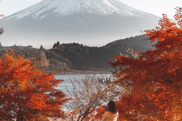 Mount Fuji Full Day Private Customizable Tour with Guide