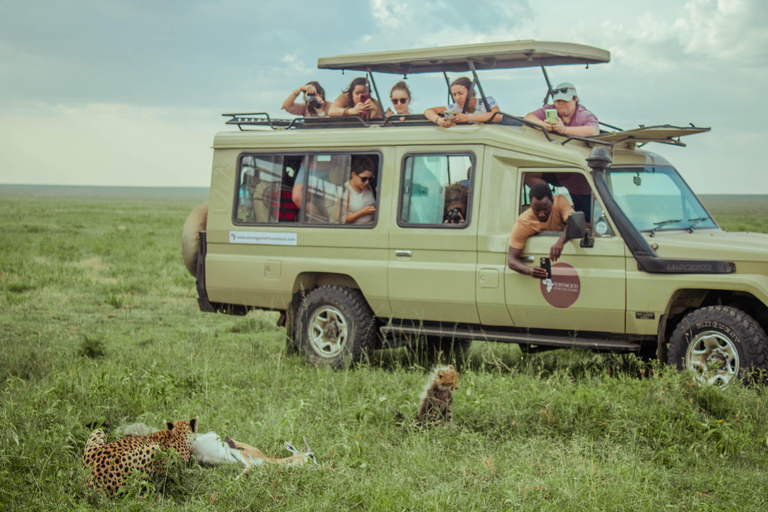 Zanzibar: 4-Day Mid-Range Safari Special for Honeymooners