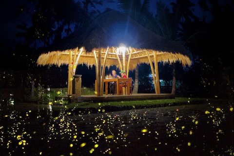 Ubud: Village Firefly Night Tour with Dinner