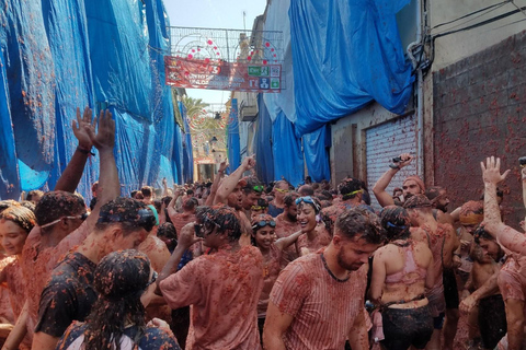 Från Valencia: La Tomatina 2025