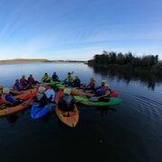 Galway City: Kayaking Free Roam or Guided Tour