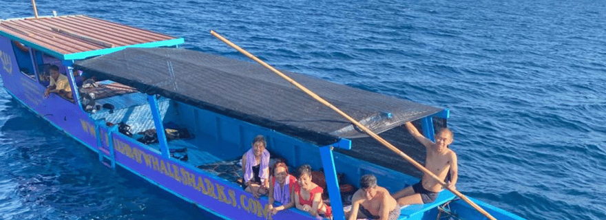 Nagez aux côtés des requins baleines, ces géants pacifiques