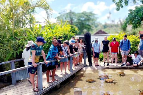Port Vila: Private Customizable Tour with Driver