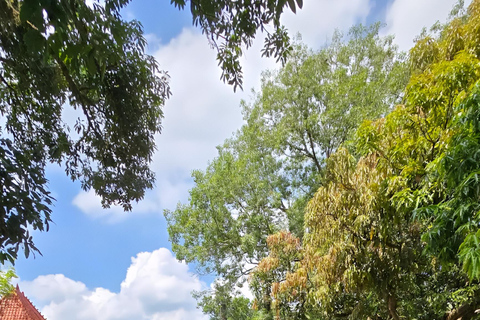 Yogyakarta: Hiking Nature Waterfall & Temples Tour Yogyakarta: Siluwok Waterfall & Temples Tour