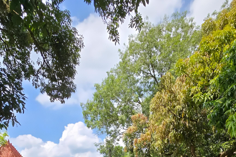Yogyakarta: Hiking Nature Waterfall & Temples Tour Yogyakarta: Siluwok Waterfall & Temples Tour