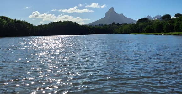 Mauritius: River Guided Kayak Tour with Monkeys