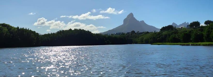 Maurice : visite guidée en kayak sur la rivière avec les singes