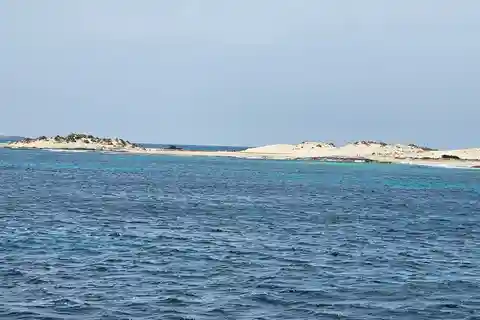 IBIZA excursión marítima Illetas con paella y bebidas