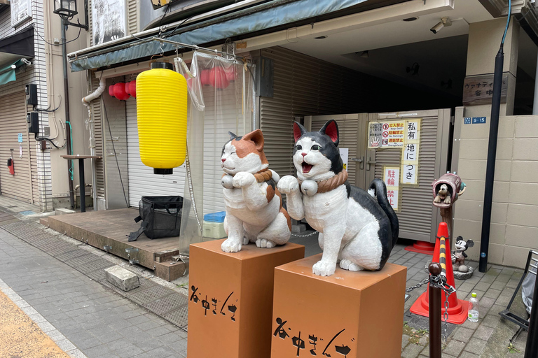 Tokyo: Yanesen, Nedu Shrine, and the Tokyo University Tour