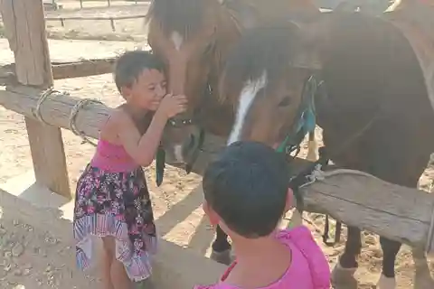 Thessaloniki:Horse Riding in a farm