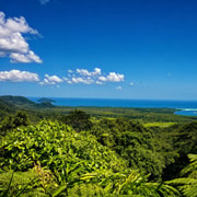 Cairns: Full Day Cape Tribulation Day Tour with Guide