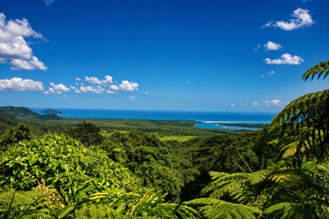 Cairns: Full Day Cape Tribulation Day Tour with Guide Cairns: Cape Tribulation Day Tour with Guide