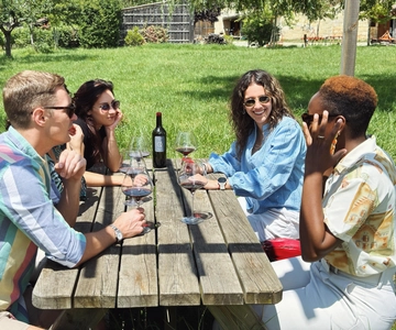 Bordeaux: excursão particular de meio dia com degustação de vinhos naturais