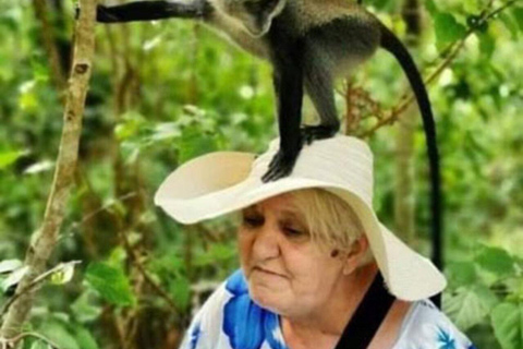 Zanzibar: Privat Jozani-skogen, Kuza-grottan och Rock RestaurantZanzibar: Privat Jozani-skogen, Kuza-grottan och Rock-restaurangen