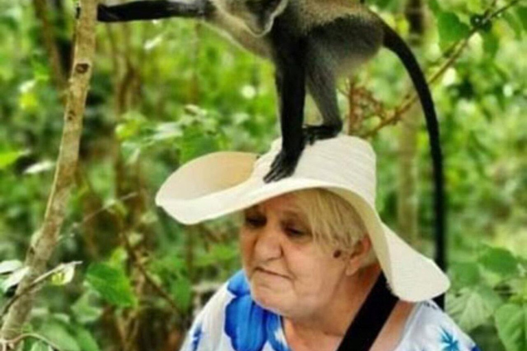 Zanzibar: Privat Jozani-skogen, Kuza-grottan och Rock RestaurantZanzibar: Privat Jozani-skogen, Kuza-grottan och Rock-restaurangen