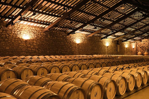 La Rioja: Guidad rundtur på CVNE Winery och vinprovning