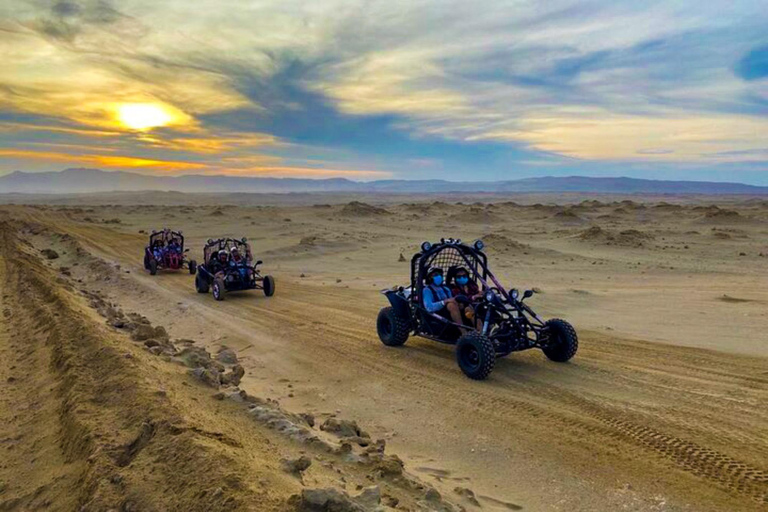 Från Paracas: Buggy-tur i Paracas nationalreservatMötesplats