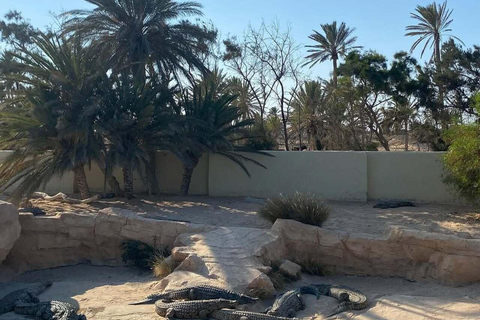 Djerba Explore: Crocodile Park & Lalla Hadria Museum Tour