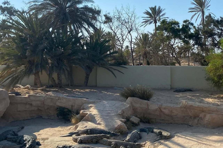 Djerba Explore: Crocodile Park & Lalla Hadria Museum Tour