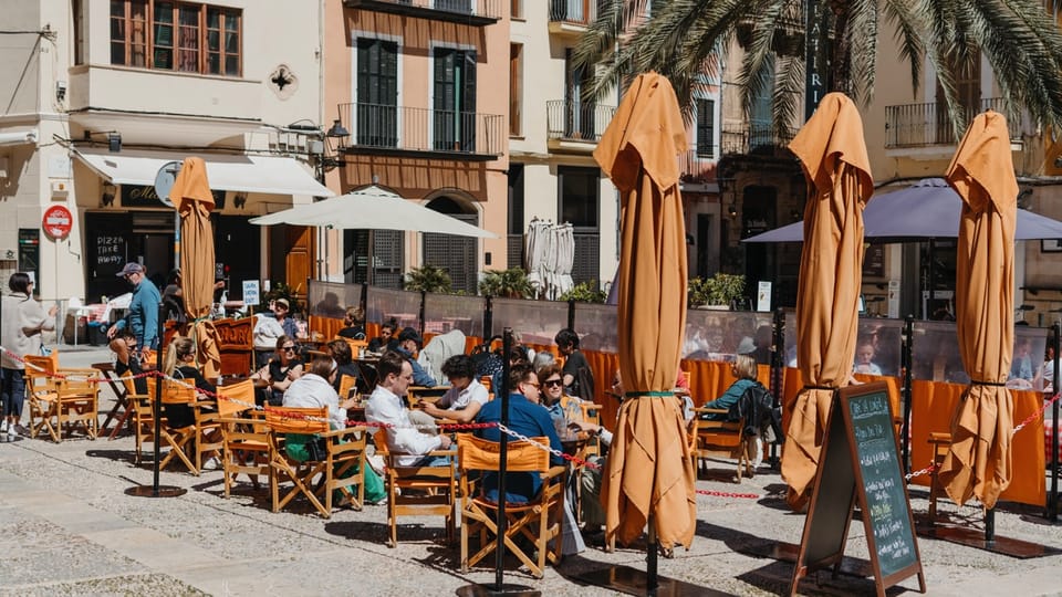 Mallorca Wander und Picknicktour (Ink. Stadt, Natur, Strand) GetYourGuide