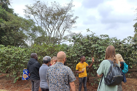 Nairobi: Fairview Coffee Farm Day Trip with Hotel Pickup