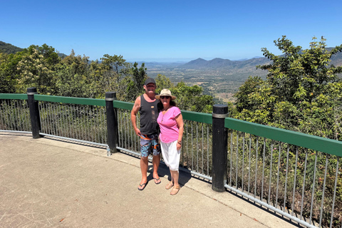 艾尔利海滩：恩杰拉鸭嘴兽和雨林生态之旅