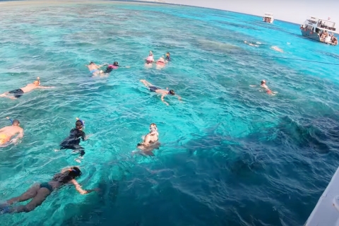 Sharm El Sheikh : Croisière de luxe pour Ras Mohammed et l'île blancheCroisière avec plongée en apnée et visite de Ras Mohammed