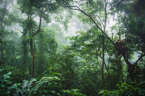 Private Day Tour: Cuc Phuong National Park from Hanoi