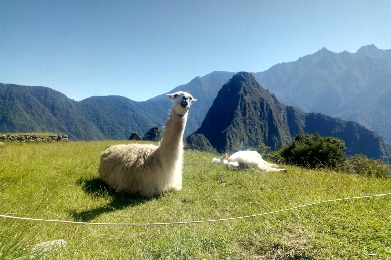 Merveilles des Andes du Pérou