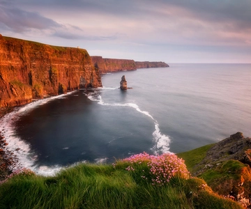 From Dublin: Private Tour Cliffs of Moher, Galway City &More