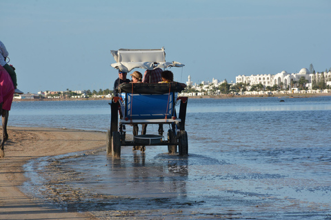 Djerba: Halve dag koetsrit en lunch aan zee