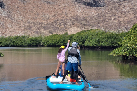 La Paz: Sea Lions & Mega-Paddleboard Tour in Balandra
