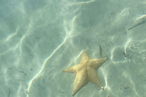 Bocas del Toro: tour en barco por Playa Estrella con guía
