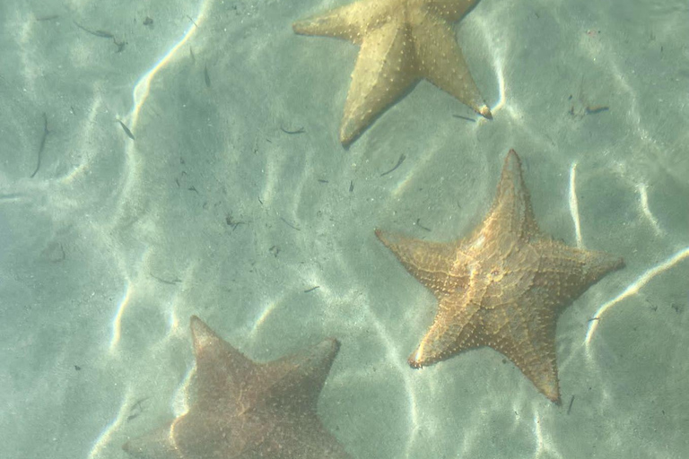 Bocas del Toro: tour en barco por Playa Estrella con guía