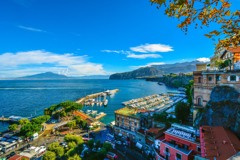 Nápoles: excursión de un día a Sorrento y Pompeya con conductor privado