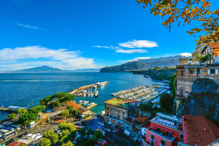 Nápoles: Viagem de 1 dia a Sorrento e Pompeia com motorista privado