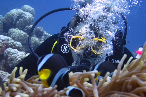 Maurice: aventure de plongée sous-marine de 3 heures sur la côte estMaurice: aventure de plongée de 3 heures sur la côte ouest