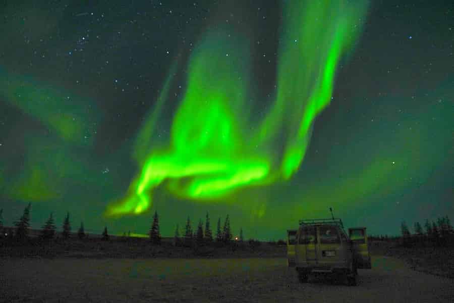 Churchill: Private Autotour mit Nordlichtern und arktischer Nacht. Foto: GetYourGuide Churchill: Private Autotour mit Nordlichtern und arktischer Nacht. Foto: GetYourGuide