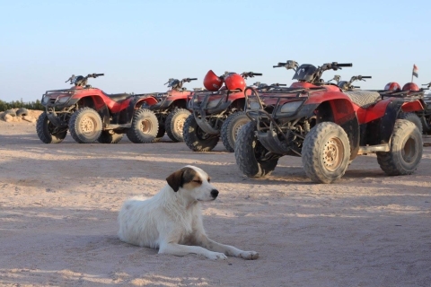 Makadi: quad-, jeep-, kameel- en buggysafari met barbecuediner