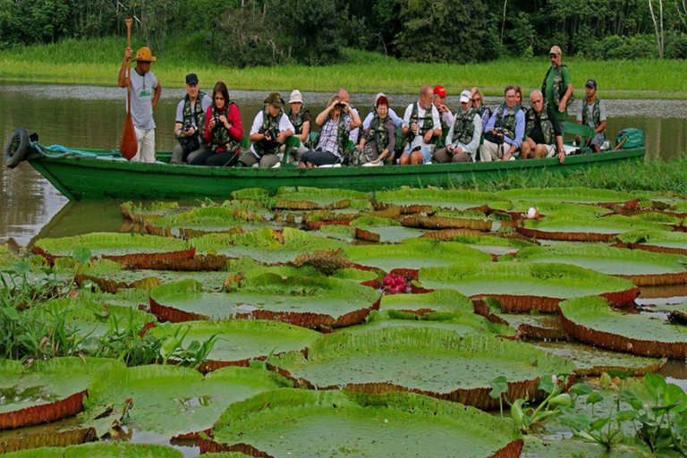 Depuis Iquitos ||Excursion de 3 jours dans la réserve nationale de Pacaya Samiria ||