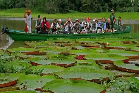 Da Iquitos ||Tour di 3 giorni della Riserva Nazionale di Pacaya Samiria ||