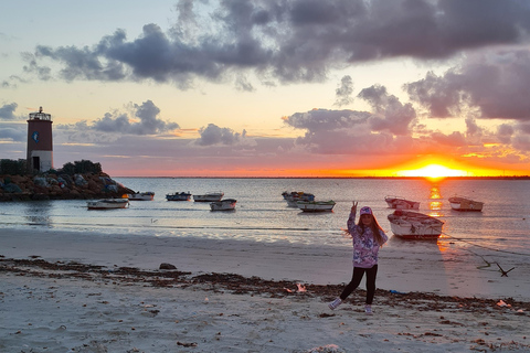 Djerba: Scooter tour of the island Full-day guided tour
